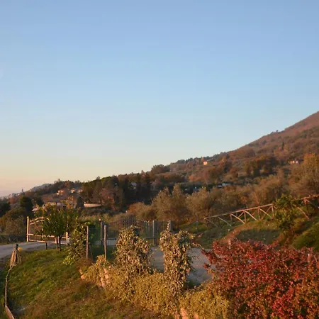 Locazione Turistica Delle Rose Pinhaus Bed & Breakfast