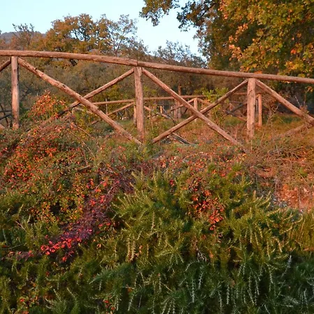 Locazione Turistica Delle Rose Bed & Breakfast *