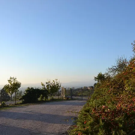 Locazione Turistica Delle Rose Pinhaus 3*