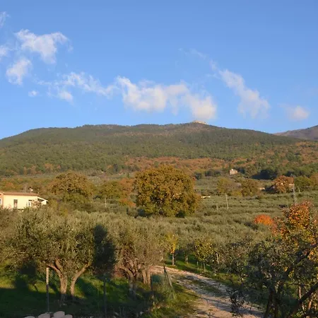 Locazione Turistica Delle Rose Pinhaus Assisi