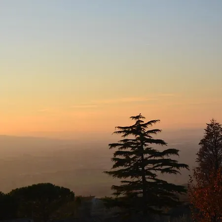 Locazione Turistica Delle Rose Pinhaus Bed & Breakfast